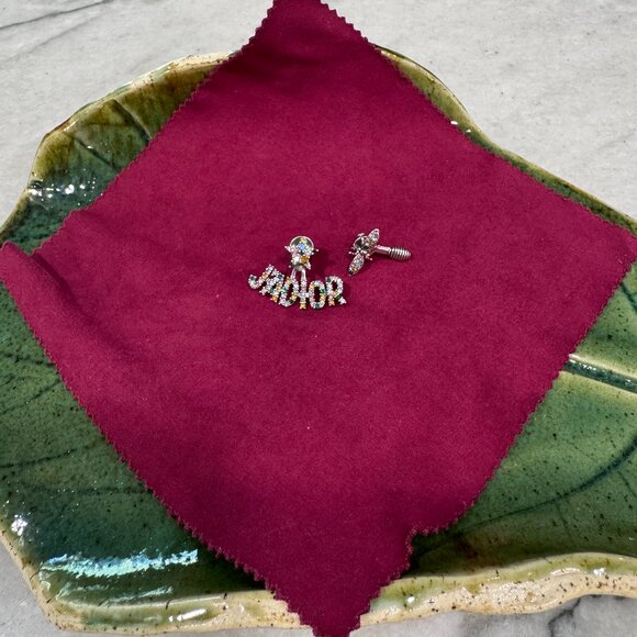 Dior Jadior bee silver tone multicolor crystal earrings - Picture 1 of 7